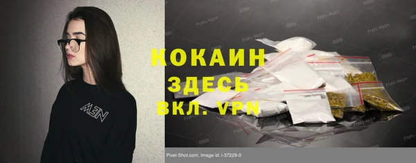 дживик Магас
