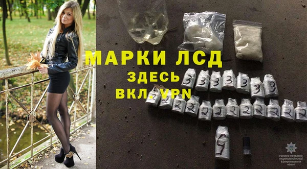 дживик Магас